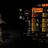 Assault Rifle PvE Build